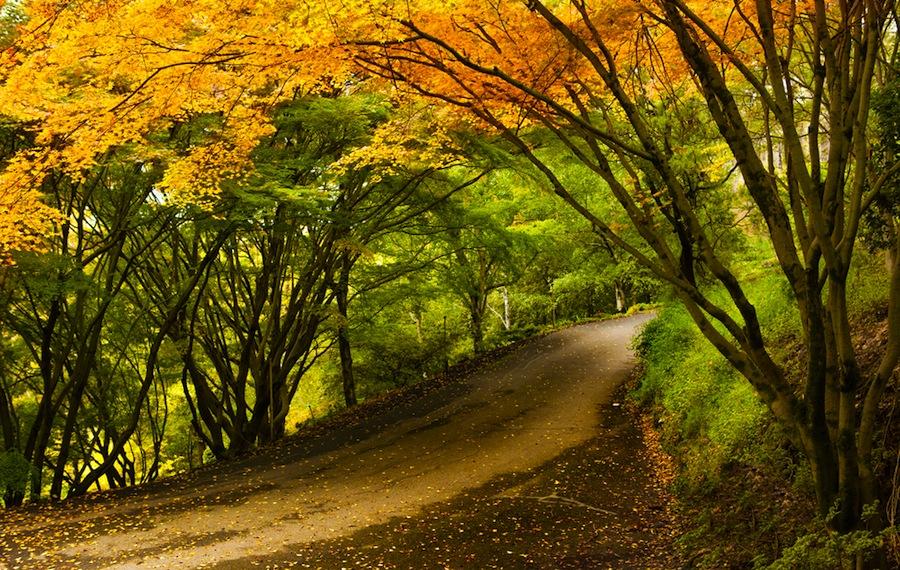 Adelaide Hills image